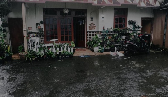 Kenanga Dieng full house