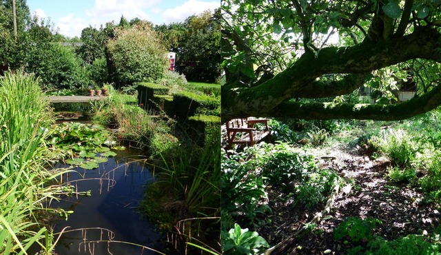 Kenilworth Garden Accommodation