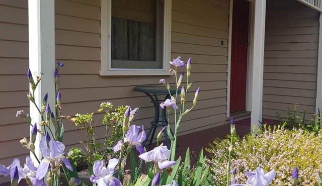 Kenmaur Cottage - Luxury Cottage in an amazing location