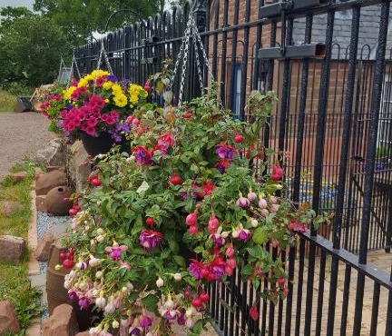 Kennels Cottage by Eco Indigo