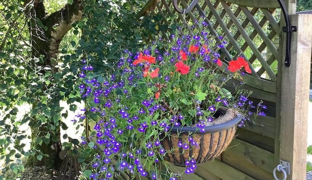 Kennick Barn, peace and quiet guaranteed, Dartmoor