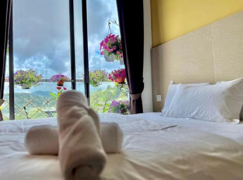 Kensington Sunrise sg, Palas Horizon,kea farm