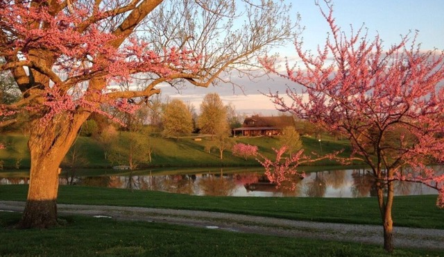 Kentucky Log Cabin - stunning 50 acres, Bourbon Trail, KY Derby, and more!