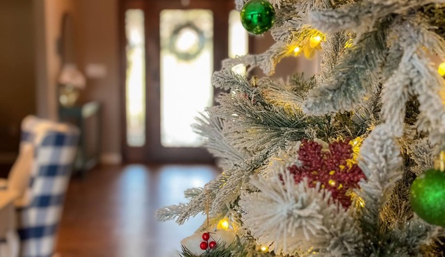 Keowee Lakefront dock, canoe, kayaks, and more!