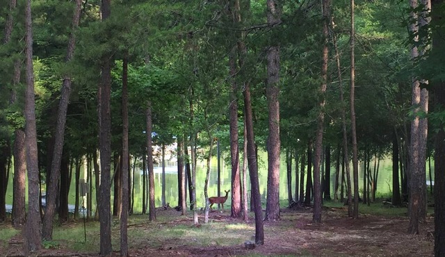 Kerr Lake Log Cabin On Calm Cove With Gentle Slope To Water, Nearby Sandy Beach