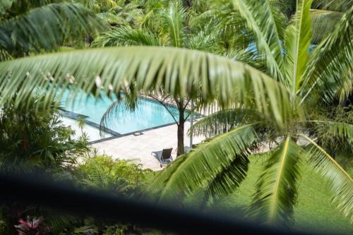 Kewarra Beach Studio Apt with Resort Pool and BBQ