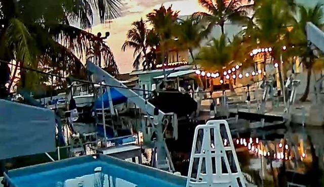 Key Largo Beauty. Pool. 100 Ft. Dock . Bring Your Boat. Free WiFi.