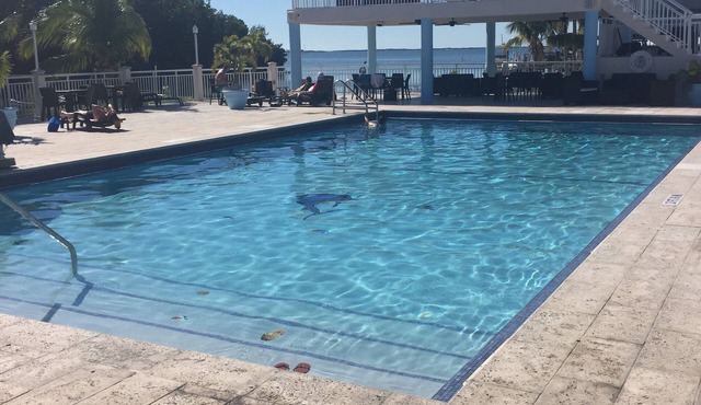 Key Largo, Calusa Resort, 2 bedroom 1 bath with screened in patio