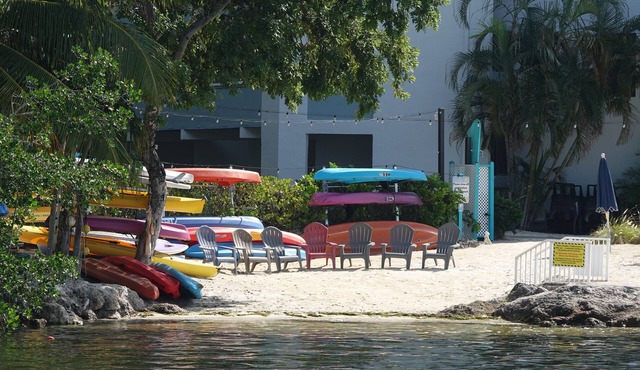 Key Largo Moon Bay Condo Escape – Sunsets, Sea Turtles & Optional 24’ Boat Slip