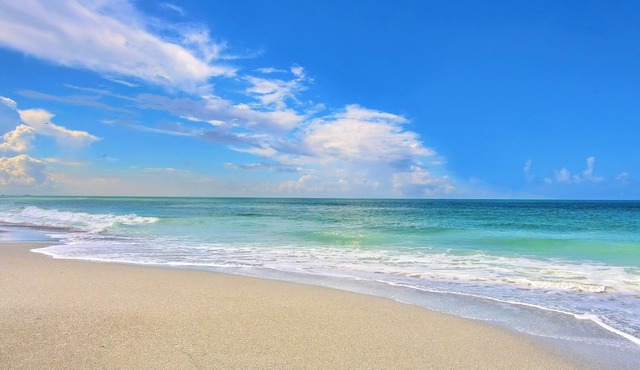 Key West style beach cottage JUST STEPS from #1 SIESTA KEY BEACH!
