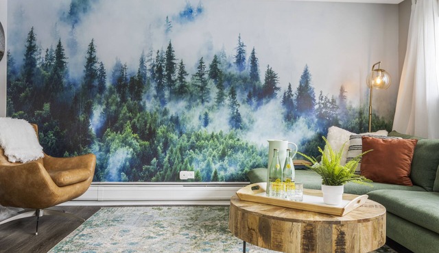 Keyless, KING bd, WIFI, desk, Fox River Bike Trail, near MetraTrain