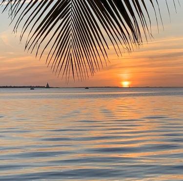 Keys Paradise!