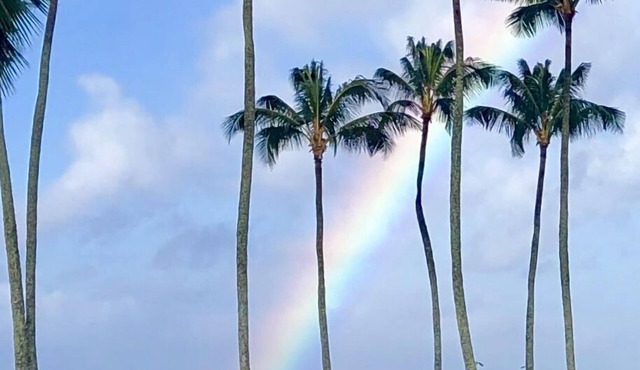 Kiahuna Ocean View Ground Floor- in Unit Washer/dryer