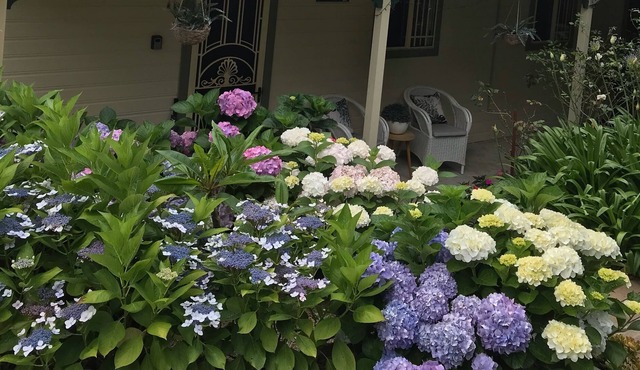 Kiama Hampton Cottage -WIFI-Netflix -aircon