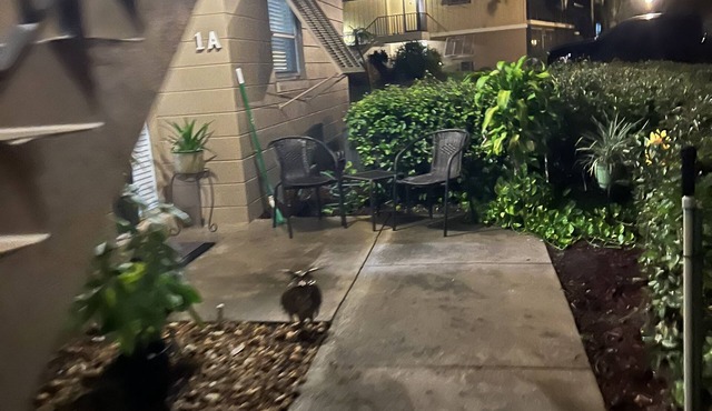 Kick of your boots it’s Fun time!