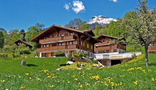Kids-friendly ground-floor apartment on the sunny side of Grindelwald