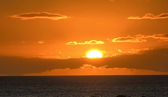 Kihei - Tropical Cottage Across from the Beach - PERMIT # STKM 2015/0003