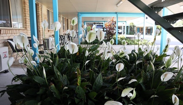 Kilcoy Gardens Motel