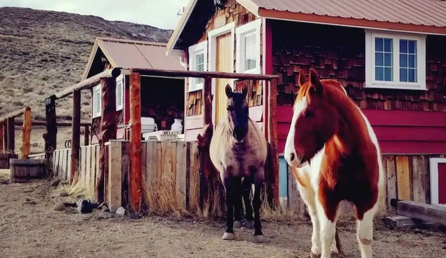 Kims Cozy Rustic Cabin 5 min. from Cody