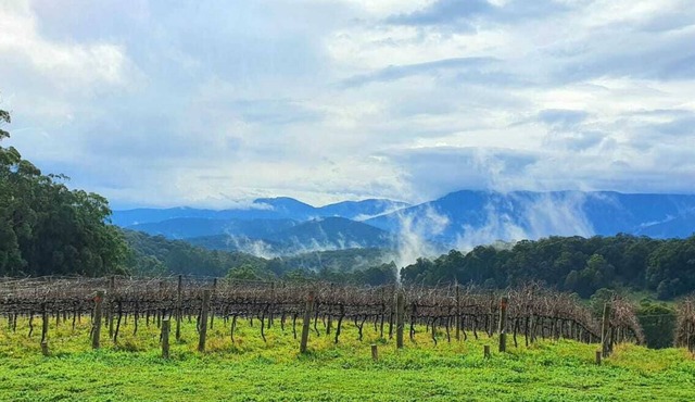 "KiNam Vinea" - A Farm Stay in the Yarra Valley