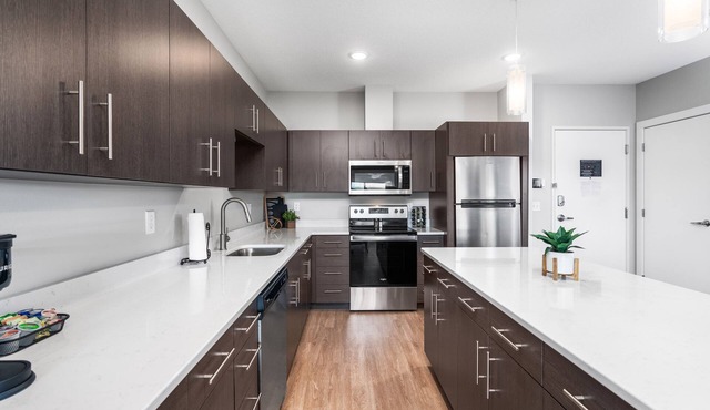 King 1 Bedroom Apartment - Lincoln Park Boutique Hotel