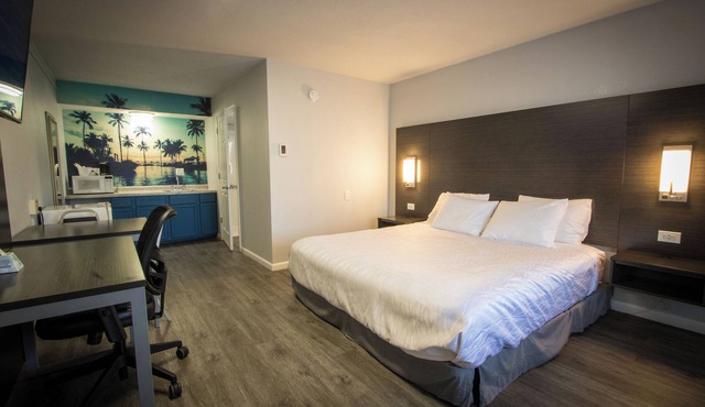 King Accessible Non-Smoking Pet Friendly