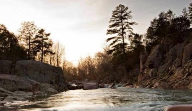 King Bed, Full Kitchen, Bon Fire Pit, Porch Swing, Peaceful, Hiking