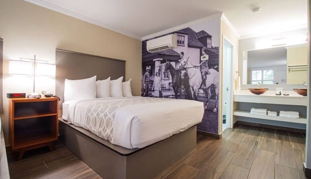 King Junior at Equus Inn, Pet-friendly, Free Breakfast, Free Parking