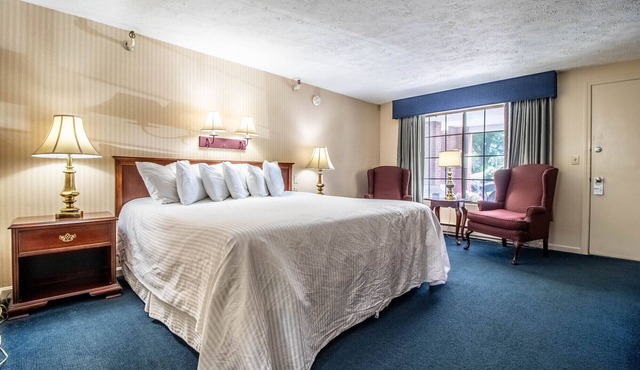 King room - 1 King bed