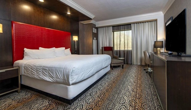 King Room at a Hotel