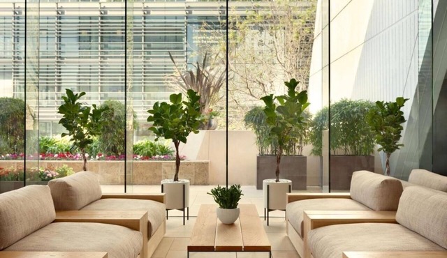 King Room Near City College Of San Francisco SAN