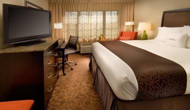 King Room Near Dulles Gymnastics WDC