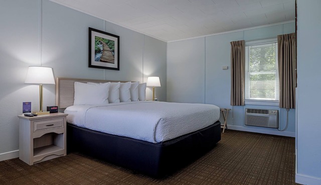 King Room w/Breakfast Included