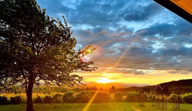 King`s Queen: Single level luxurious custom home in the heart of wine country