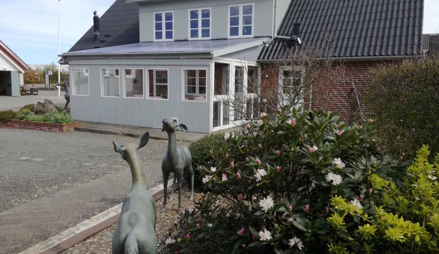 King size beds, Spa and Health Care, Yoga and Mindful Meditation.