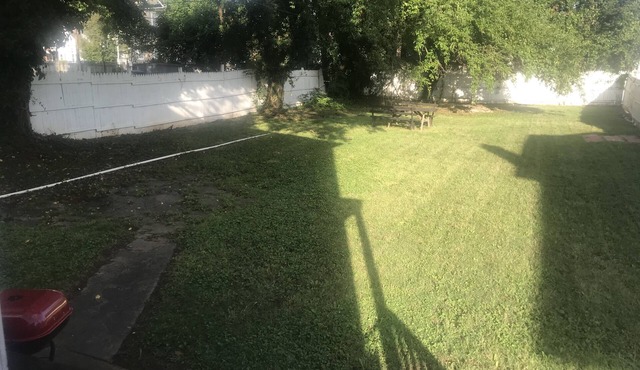 King-Sized City Oasis