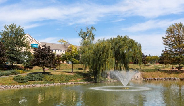 King Studio Near IAD | Free Breakfast + Shuttle to Airport + Corporate Area