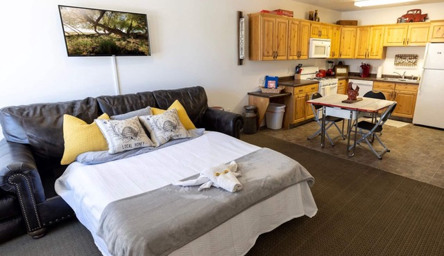 🤠king studio w/Q sleeper+kitchen+washer/dryer+250mbps wi-fi🥾(15mi)maple canyon