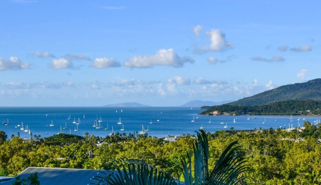 King suite town centre pet owner to call host b4 booking details in description