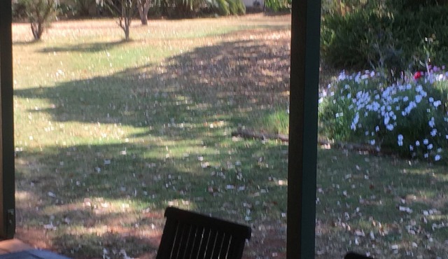 "Kingaroy Short Term Rentals" -The Ranch