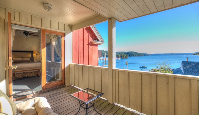 Kingfish at West Sound