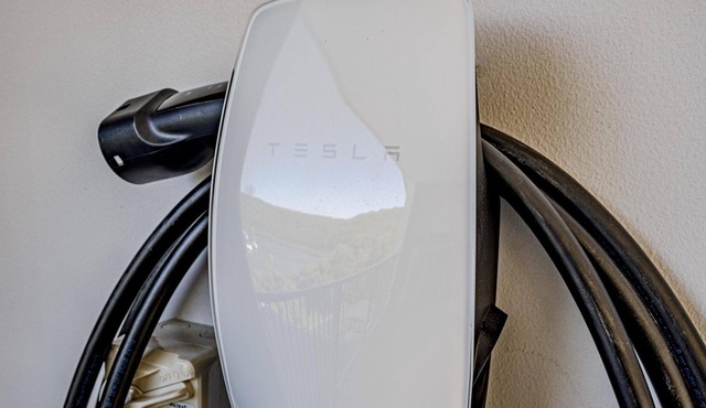 Kingfisher at Daleys Point