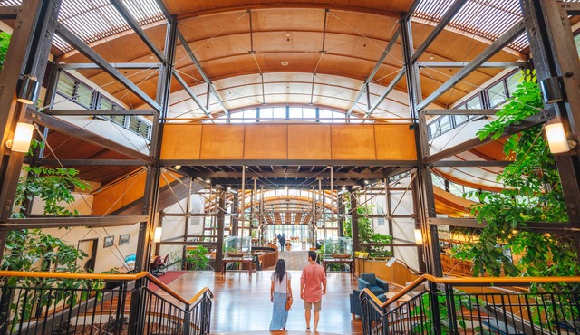 Kingfisher Bay Resort