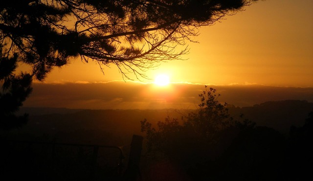 Kingfisher Cabin. Nestled Pukekohe side of Bombay, with a large private pool.