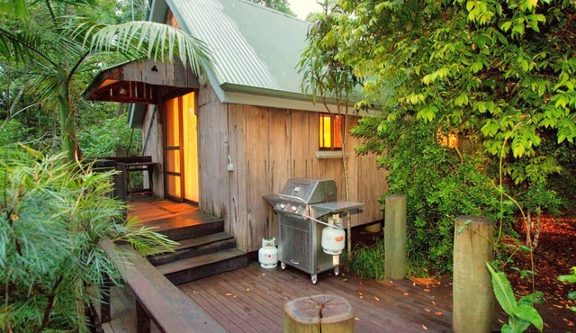 Kingfisher: Mt Glorious Getaways