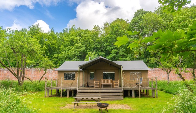 Kite at Exton Park, Rutland, Dog Friendly