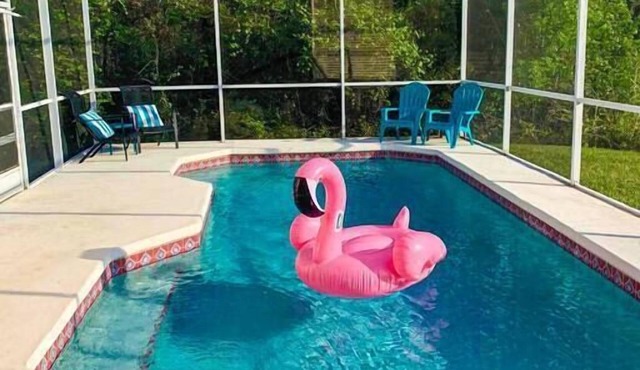 Kitty's is Open - 3/2, Pet's Welcome