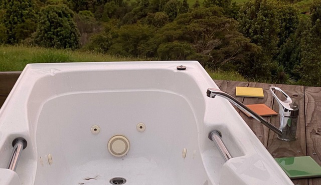 Kiwi cabin in paradise