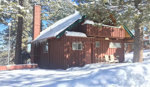 Kiwi Cabin