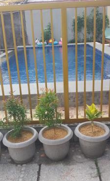 KJ Inn Homestay Senggigi